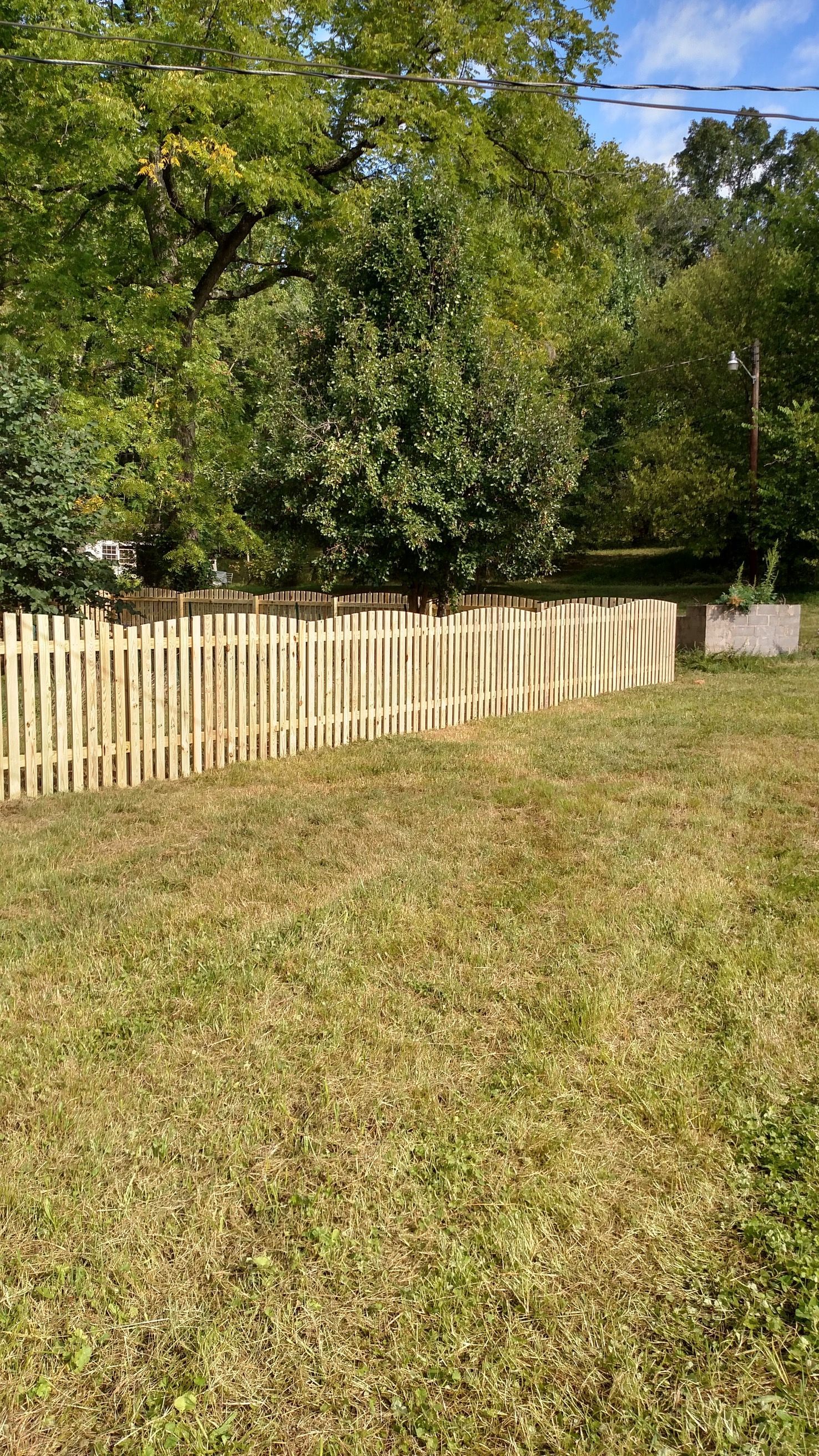 A light wooden picket fence lines a grassy yard, with trees in the background.