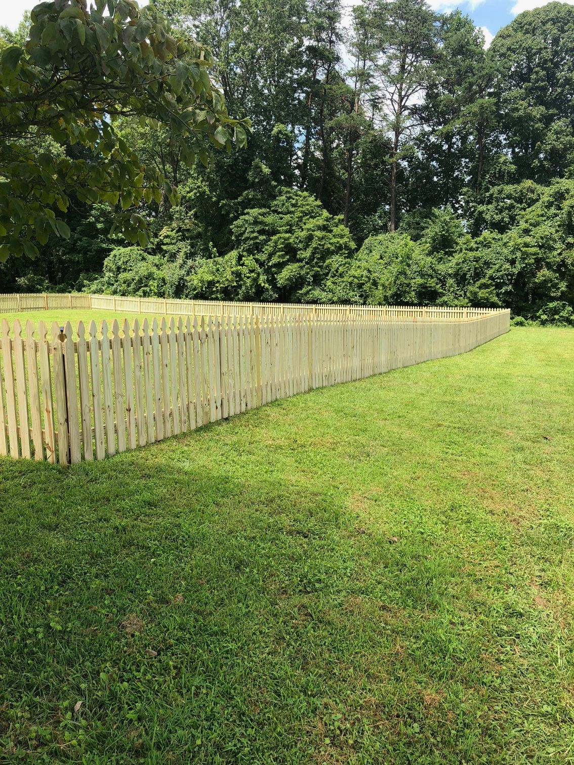 Wooden picket fence on a grassy lawn, with trees in the background under a blue sky.
