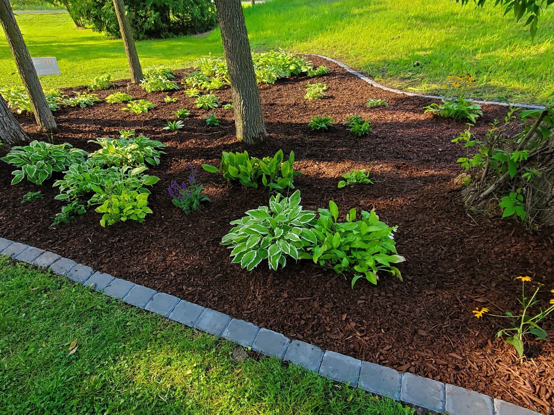 Garden with Flowerbed and Plants — Annandale, MN — OTS Grading and Landscaping LLC