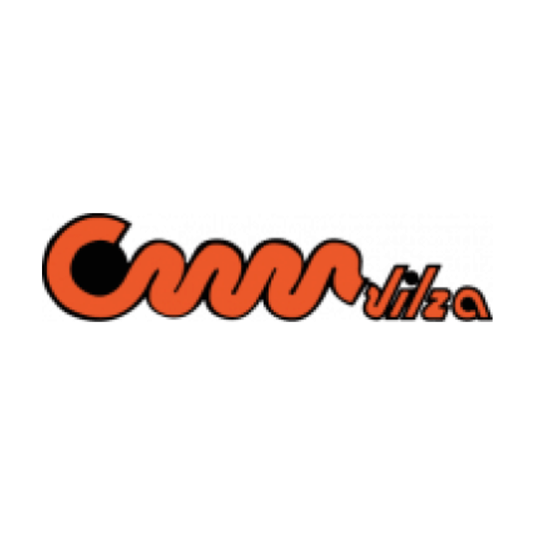 Un logotipo naranja y negro para una empresa llamada canniliza.