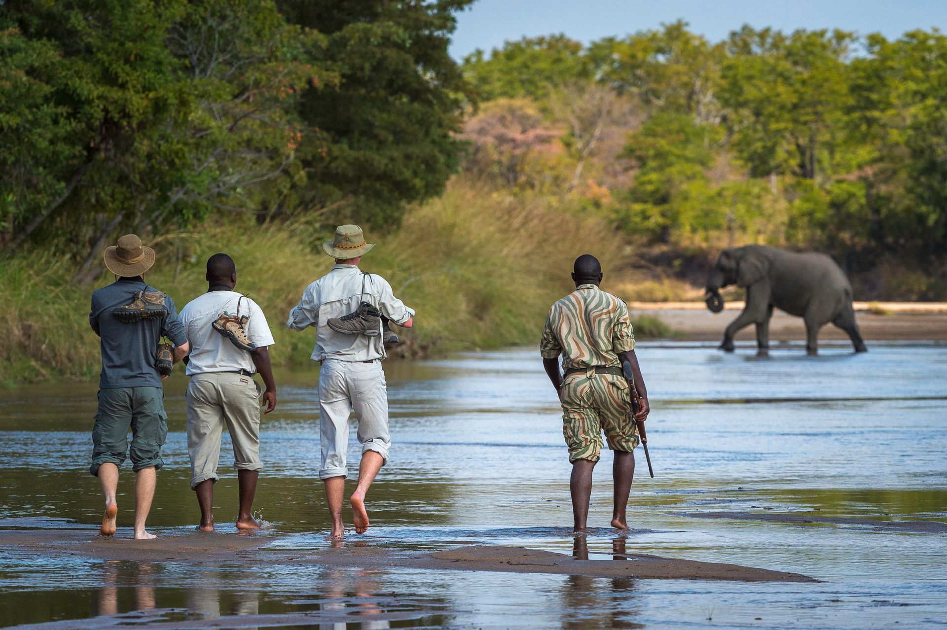 A group of people are standing in the water looking at an elephant.