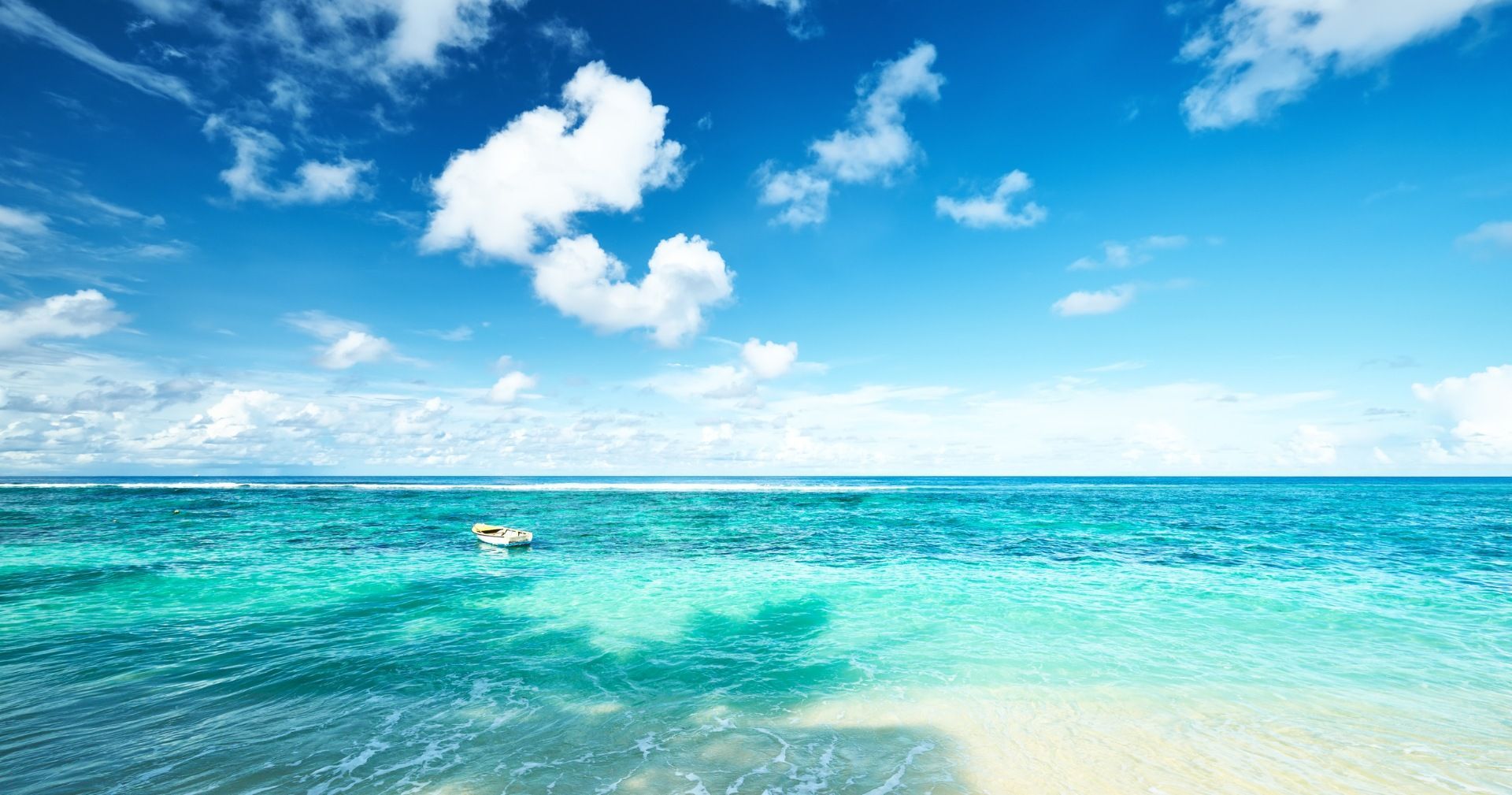 A person is swimming in the ocean on a sunny day. Seychelles