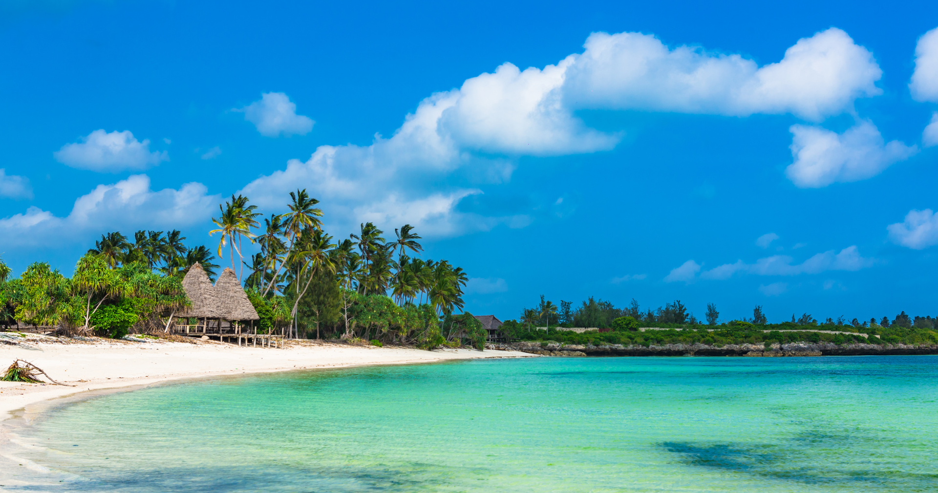 A tropical beach with palm trees and a blue sky
