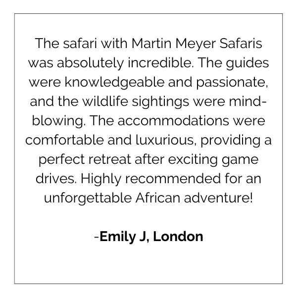 The safari with martin meyer safaris was absolutely incredible.