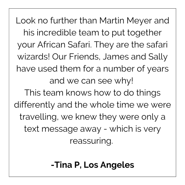 Look no further than martin meyer and his incredible team to put together your african safari.