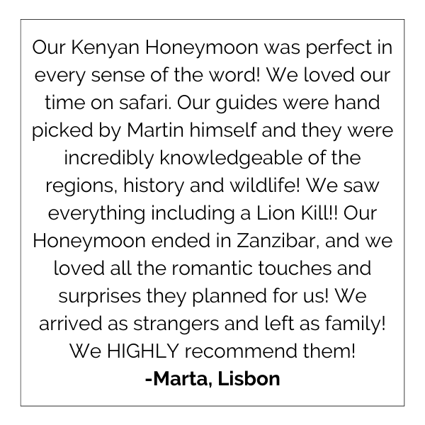 Our kenyan honeymoon was perfect in every sense of the word ! we loved our time on safari.