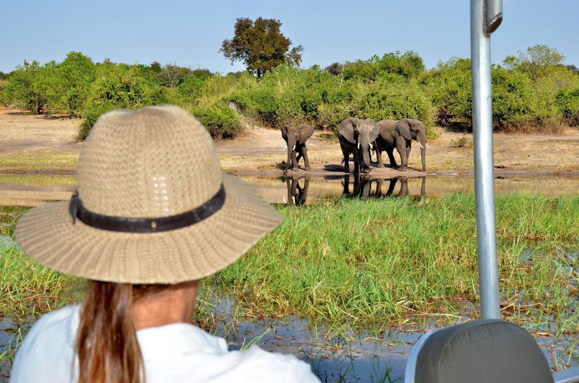 Woman in hat watches elephants drinking water. Riverbank setting, sunny day.