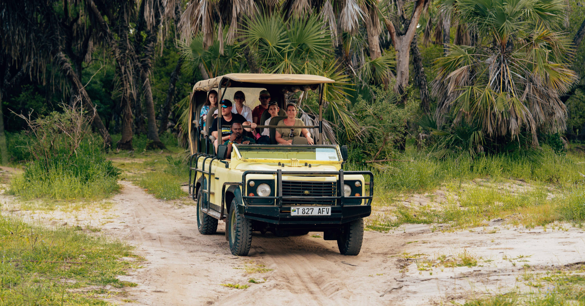 Safari vehicle on a dirt path, filled with people, surrounded by trees and greenery.