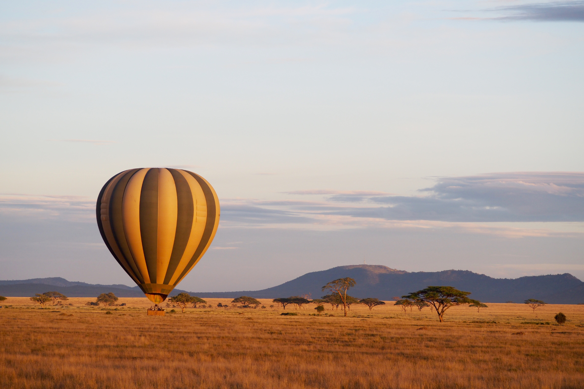 Hot Air Ballooning - Serengeti