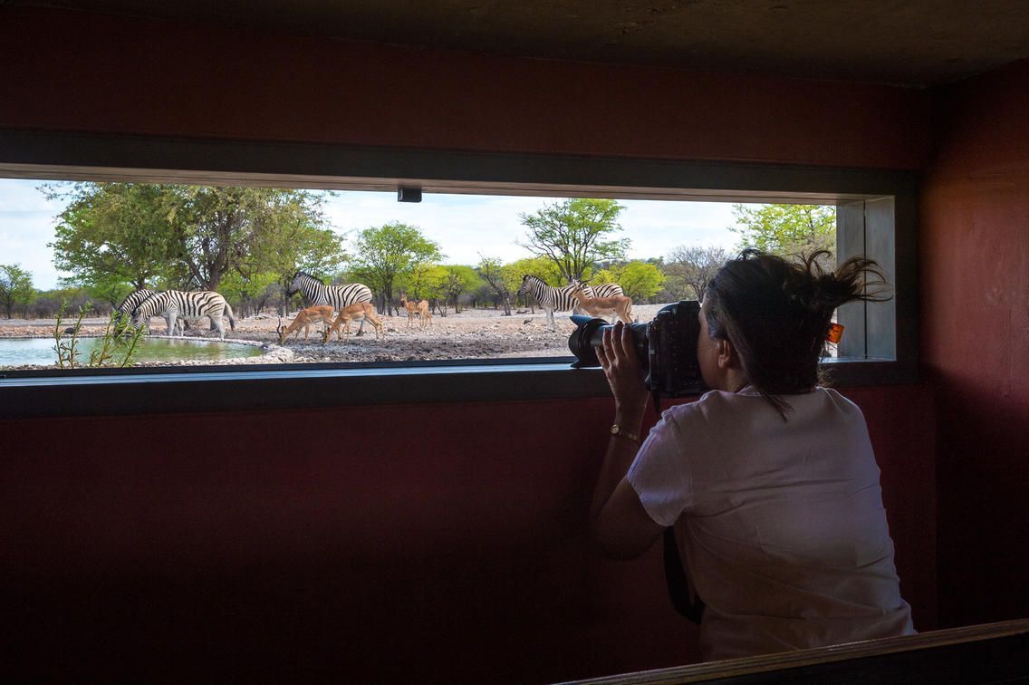Cameras set up in a wildlife photography blind, overlooking a watering hole in a natural setting.