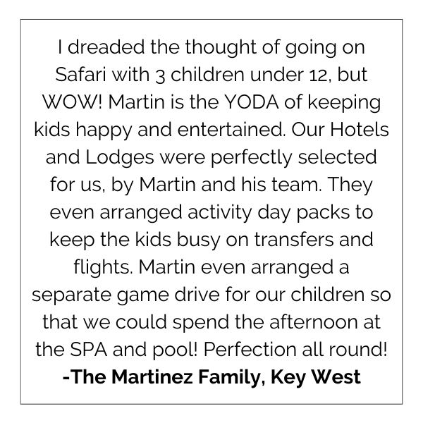 I dreaded the thought of going on safari with 3 children under 12.