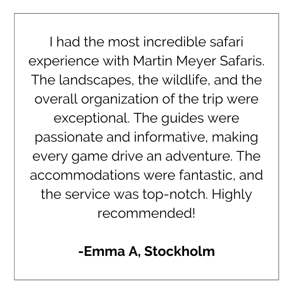 I had the most incredible safari experience with martin meyer safaris.