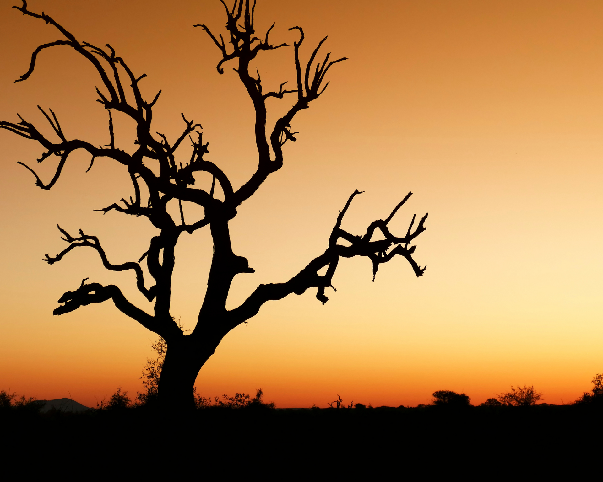 Malaria Free Safari Destinations