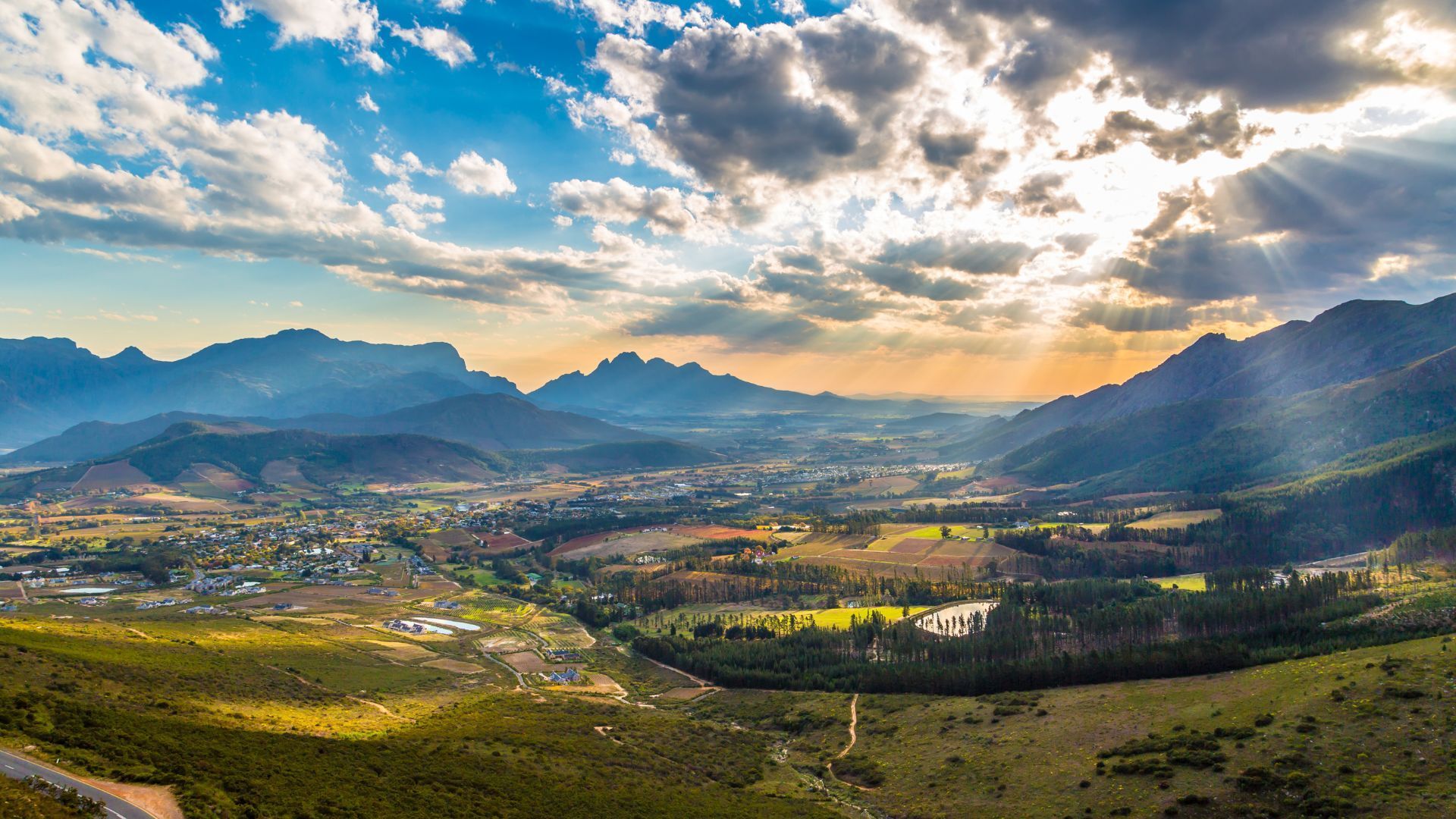 Stellenbosh