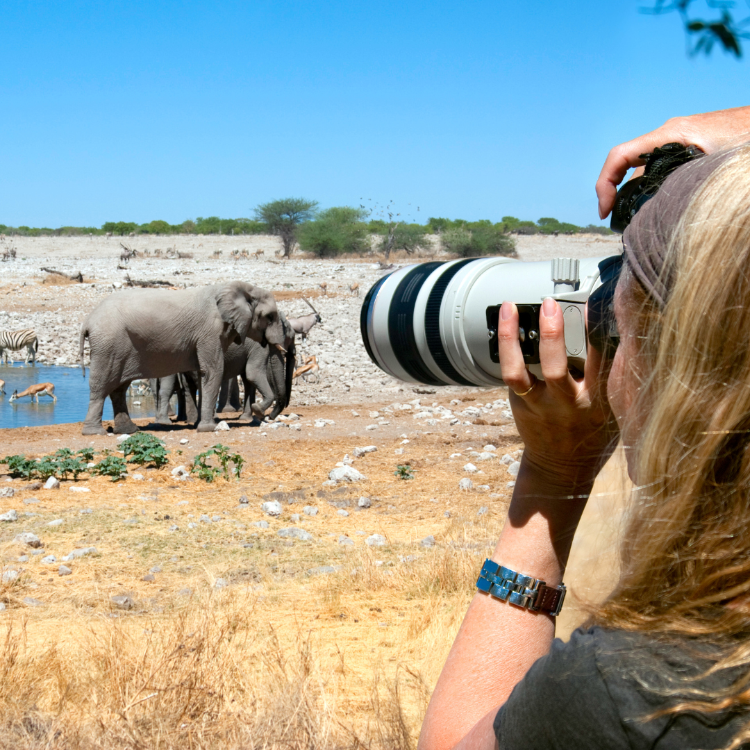 A woman is taking a picture of elephants at a watering hole