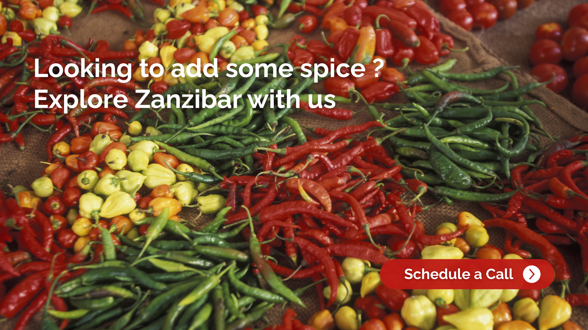 Colorful chili peppers, Zanzibar, 