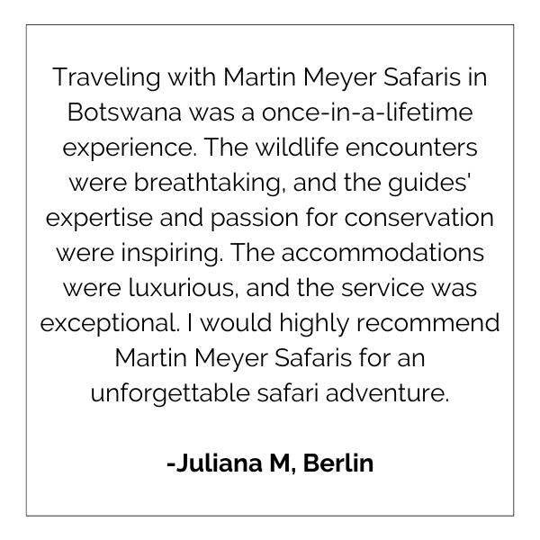 Traveling with martin meyer safaris in botswana was a once-in-a-lifetime experience.