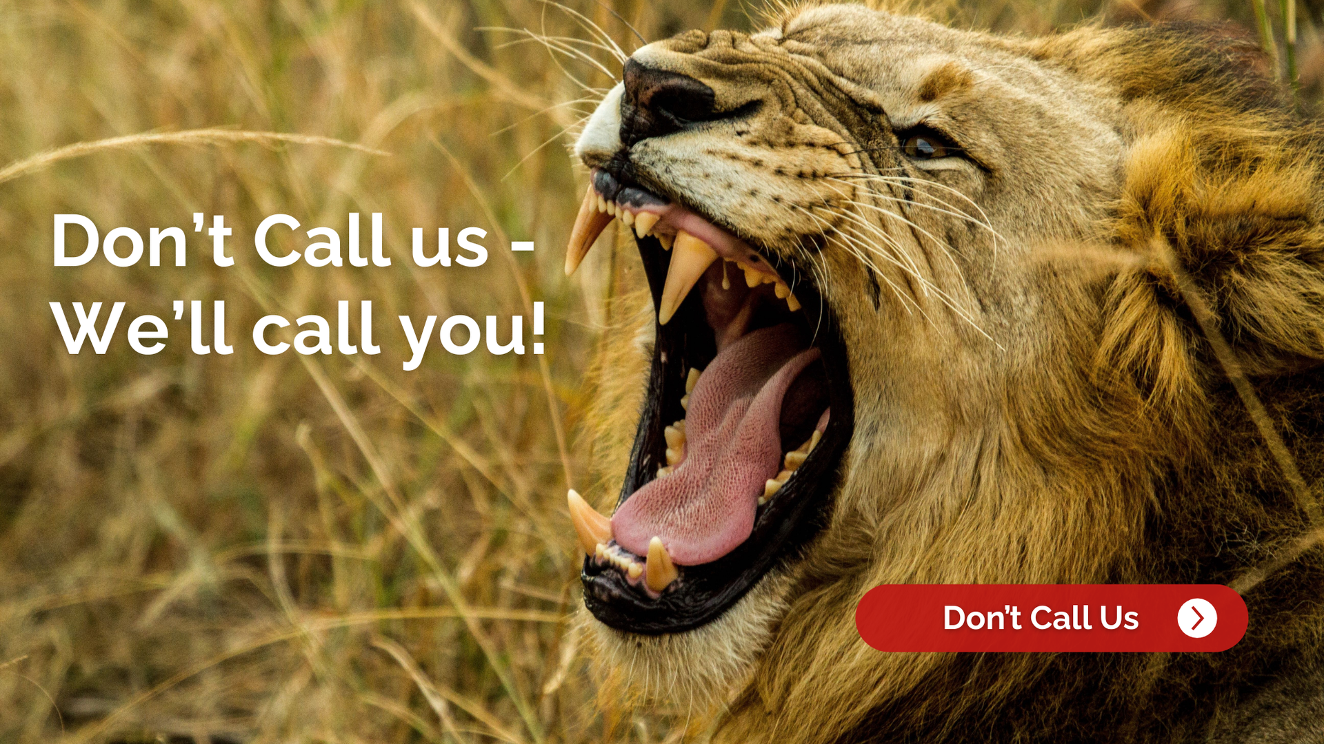 Lion roaring, with text 