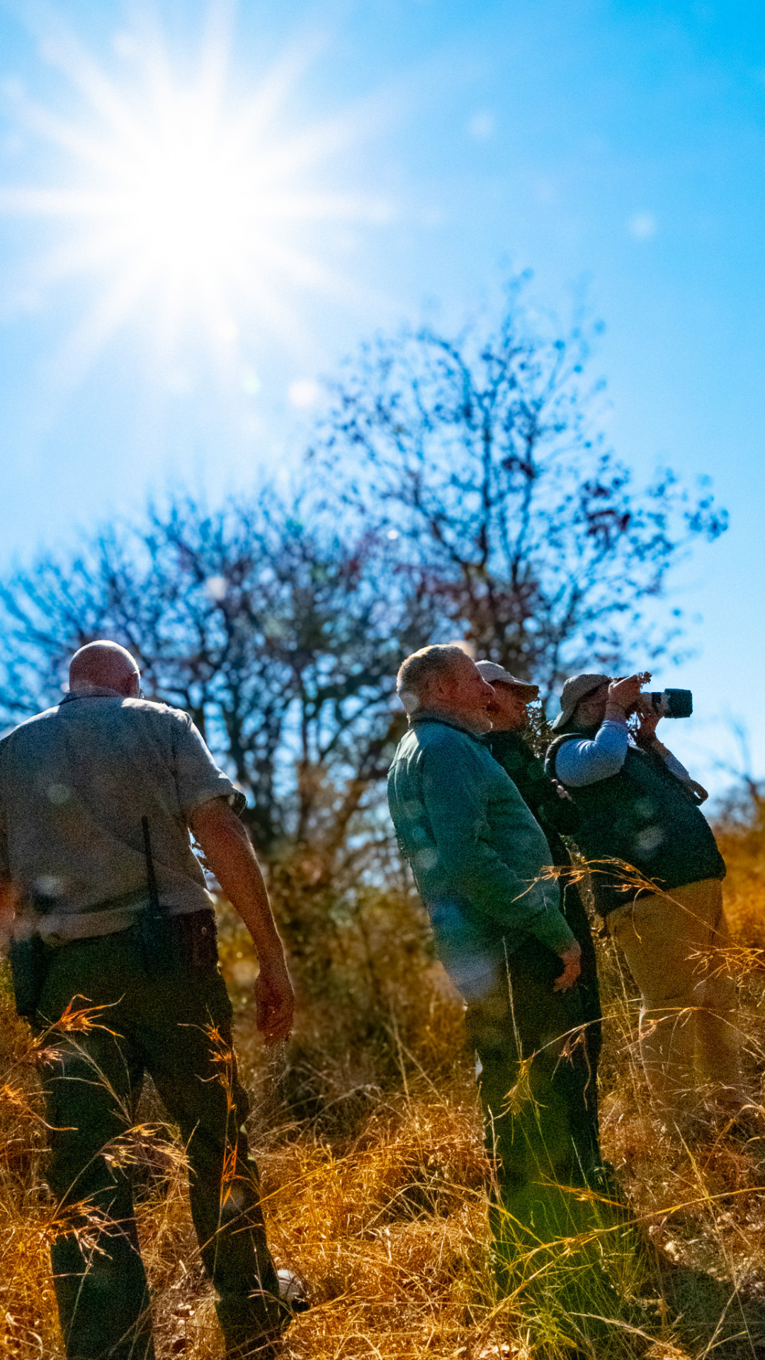 Group of people outdoors looking up, sunny day. One points, one takes a photo; dry grass, trees.