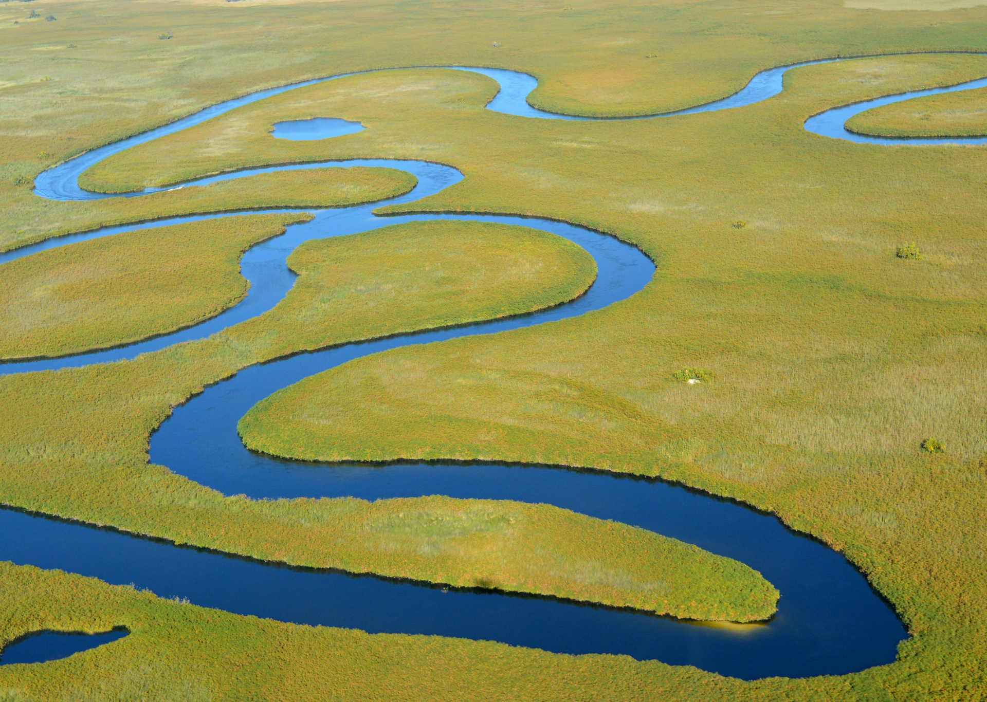 A winding, blue river snakes through a vast, green grassy plain.