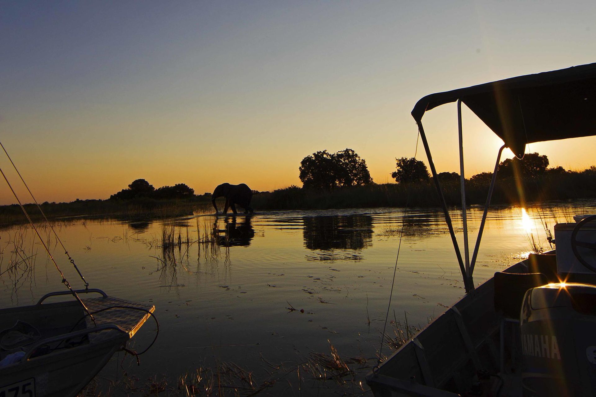 Camp Okavango