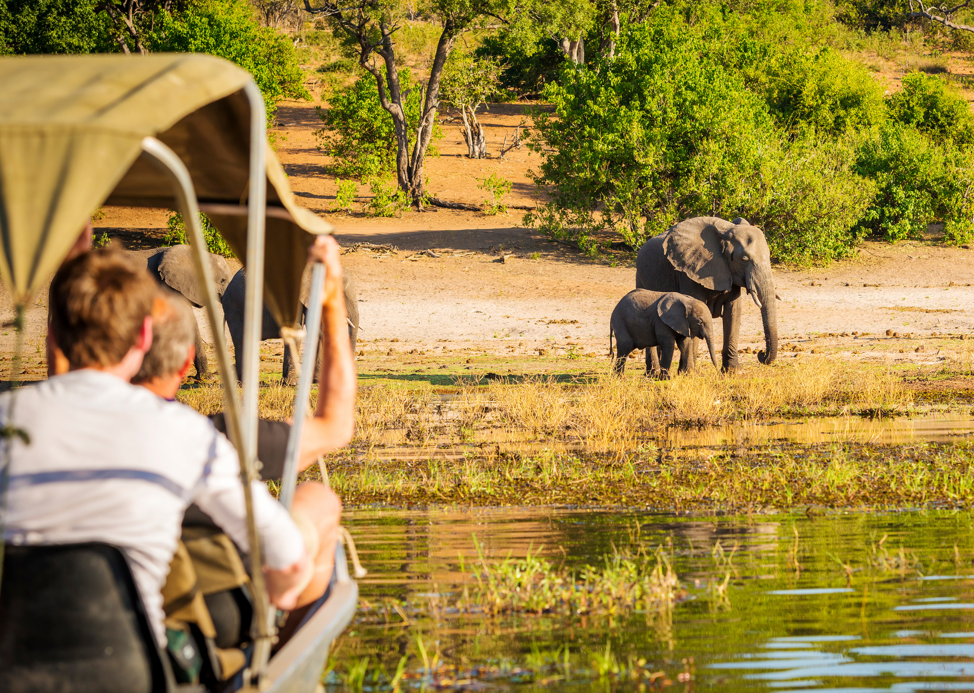 Tourists in a boat watch an elephant and calf grazing near water's edge in a savanna landscape.