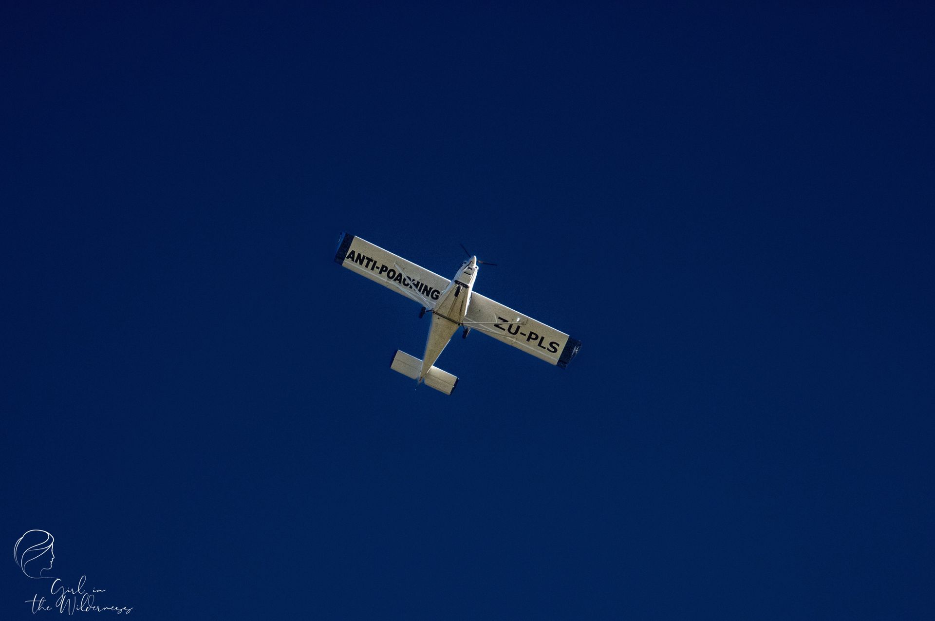 Dehorning a Rhino on Safari