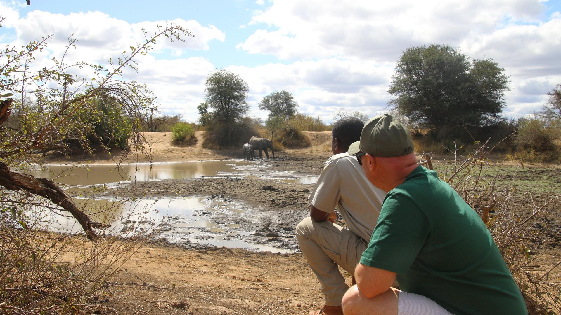 Two men watching an elephant at a watering hole in a sunny African savanna.