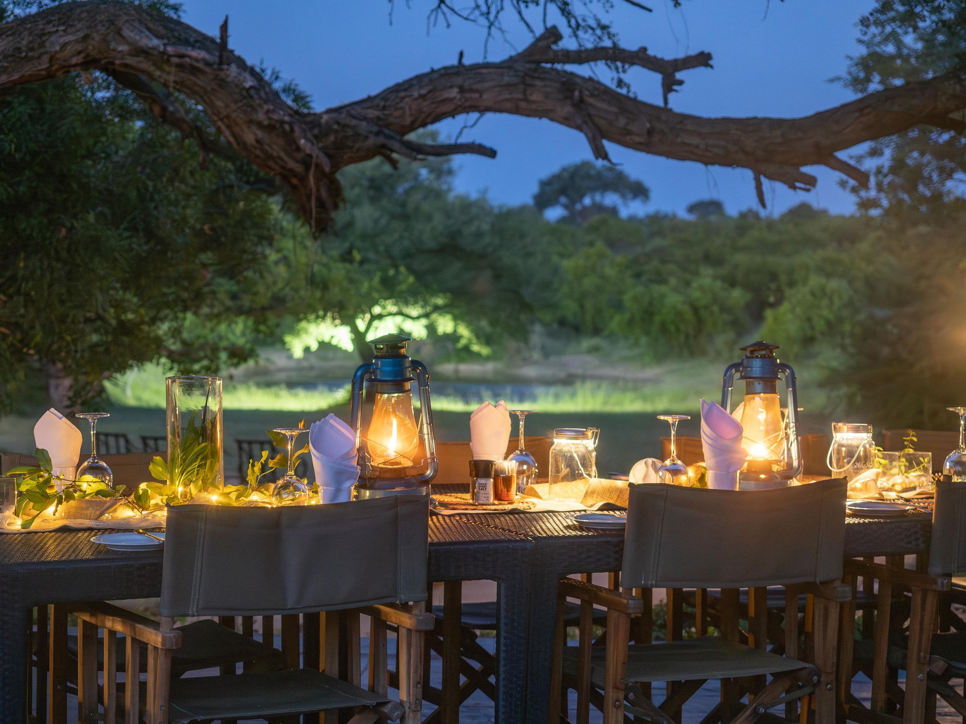 Dining under the stars