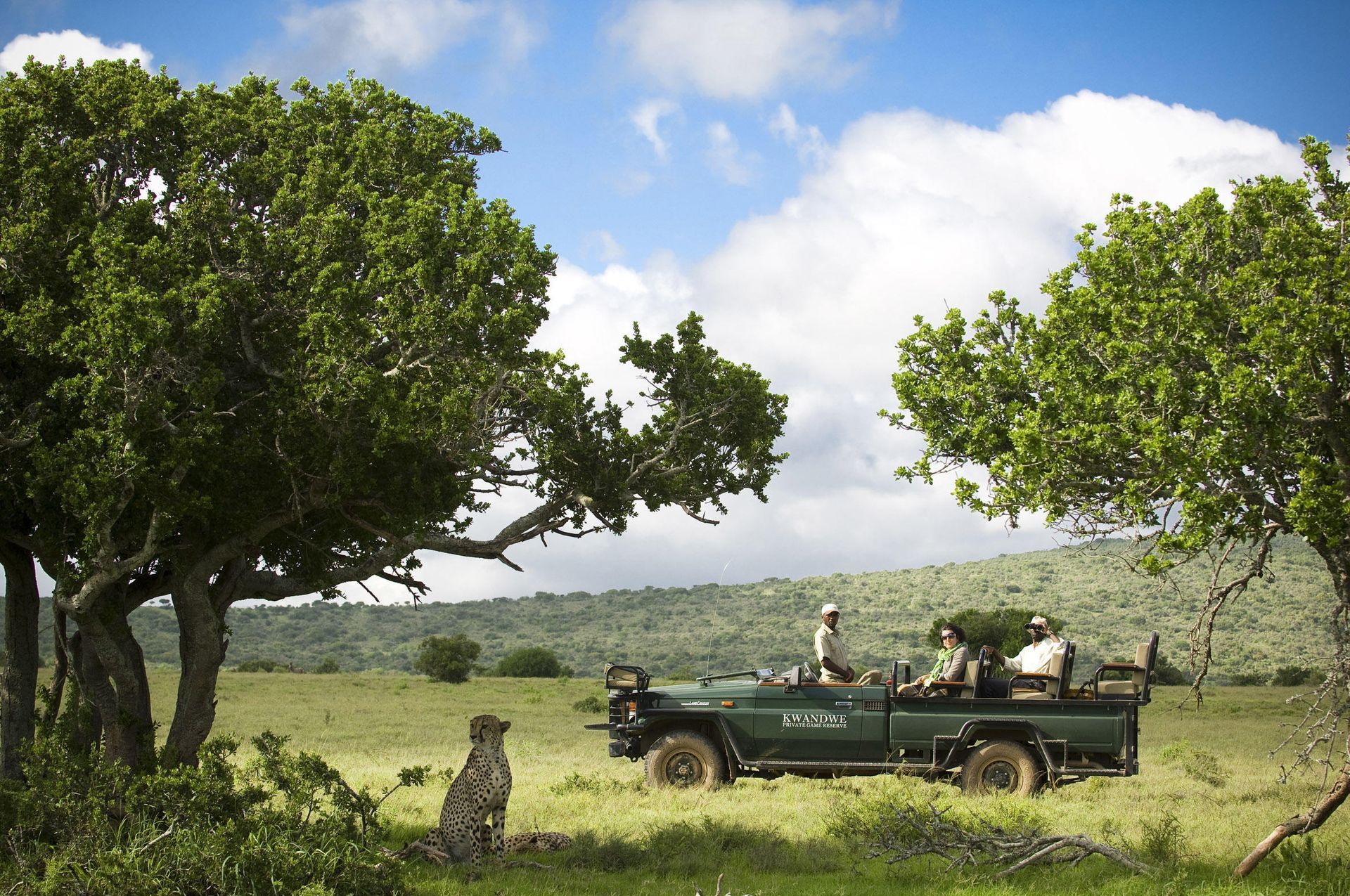 A cheetah sits in front of a safari vehicle
Malaria Free Safari Destinations