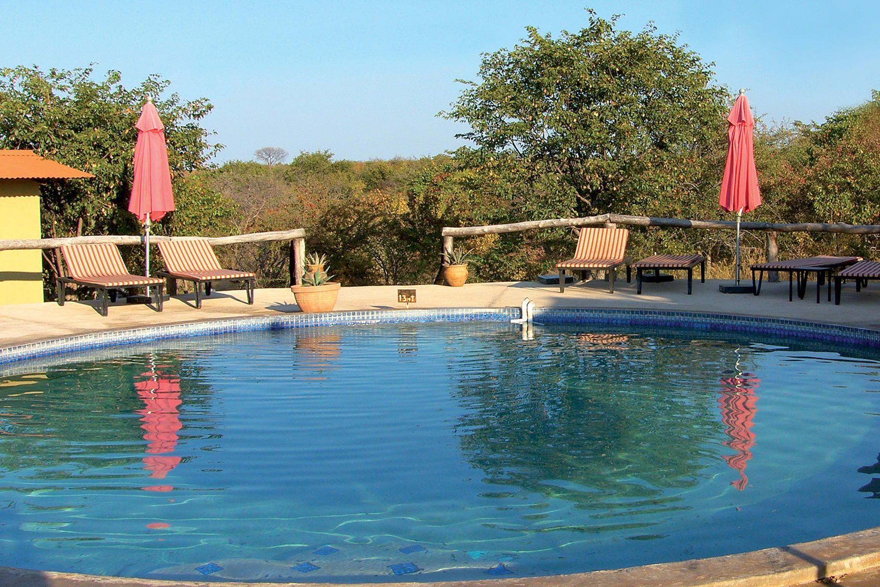 Swimming pool with lounge chairs and pink umbrellas, surrounded by trees.