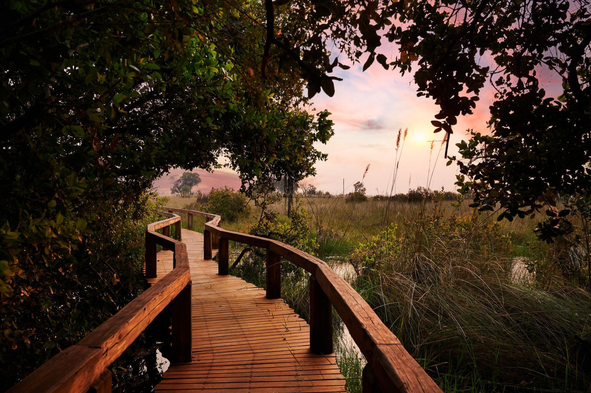 Camp Okavango