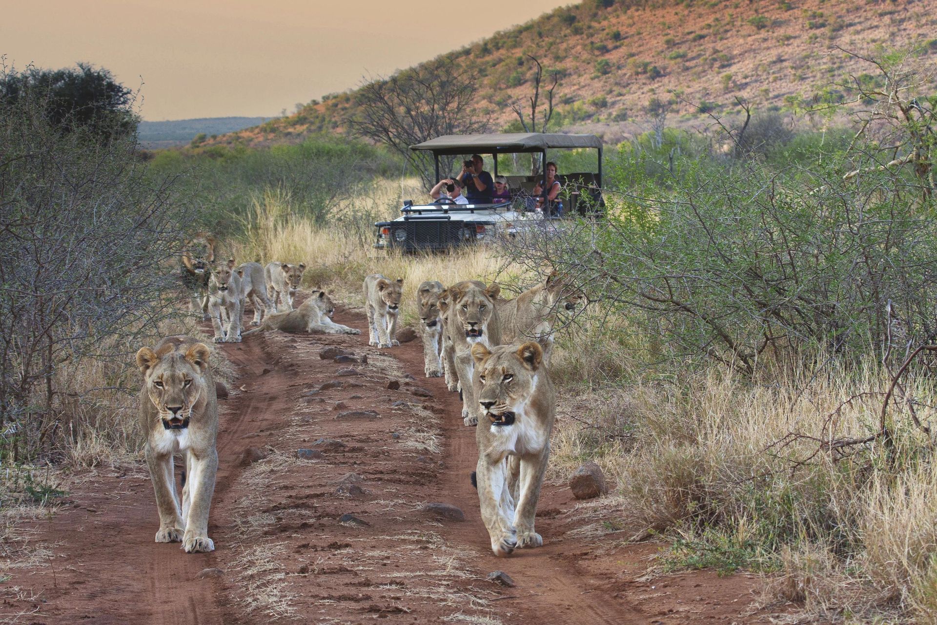 Tuningi Safari Lodge