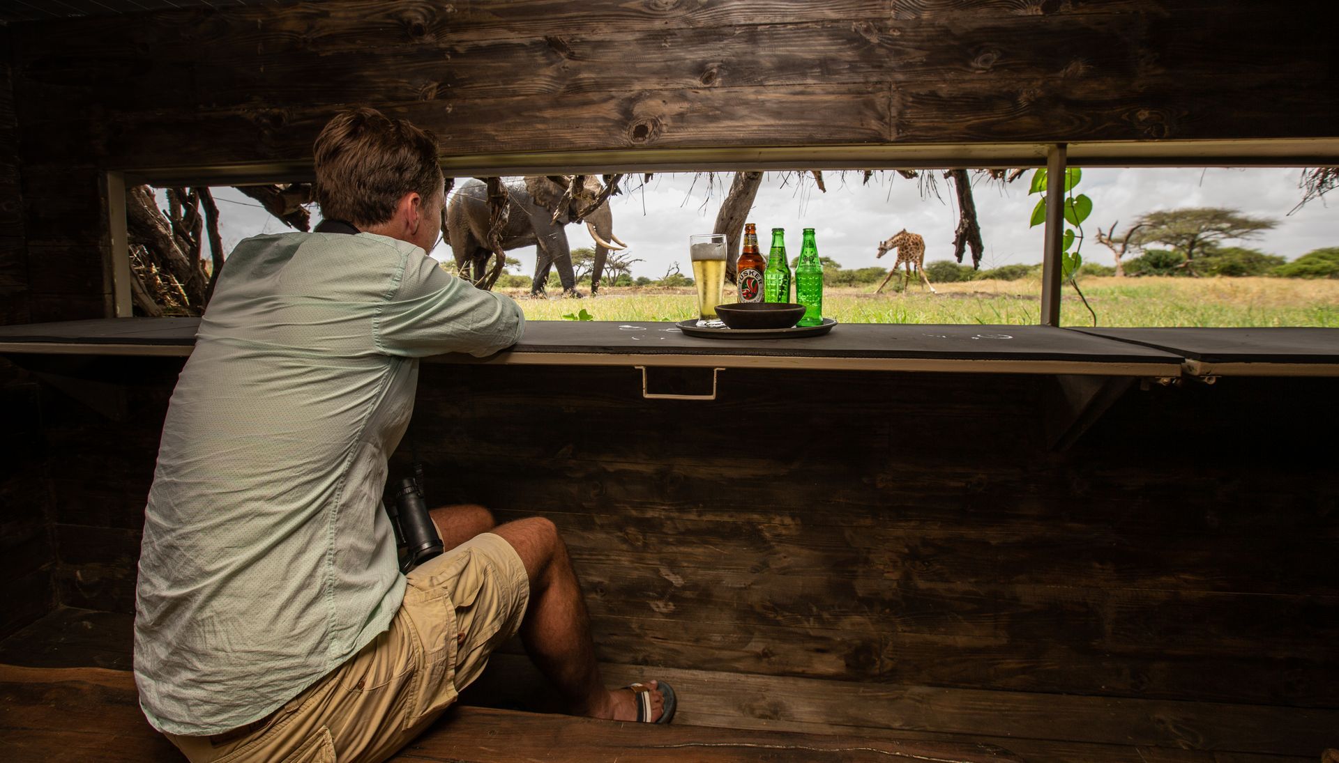 Man in wooden structure watches elephants in a grassy field, drinks on the counter.