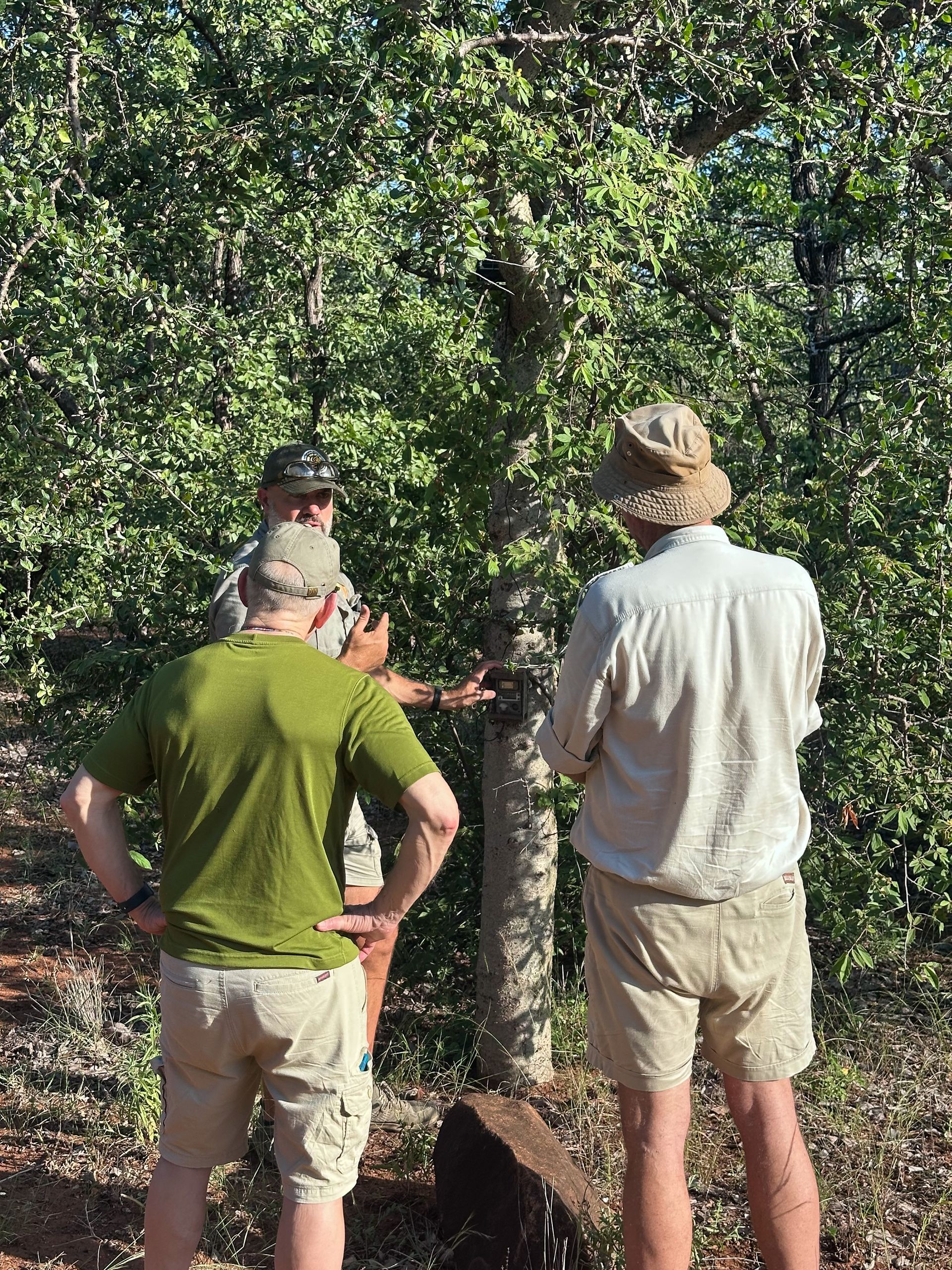Setting Camera Traps. Camera Traps play a vital role in wildlife monitoring and data collection