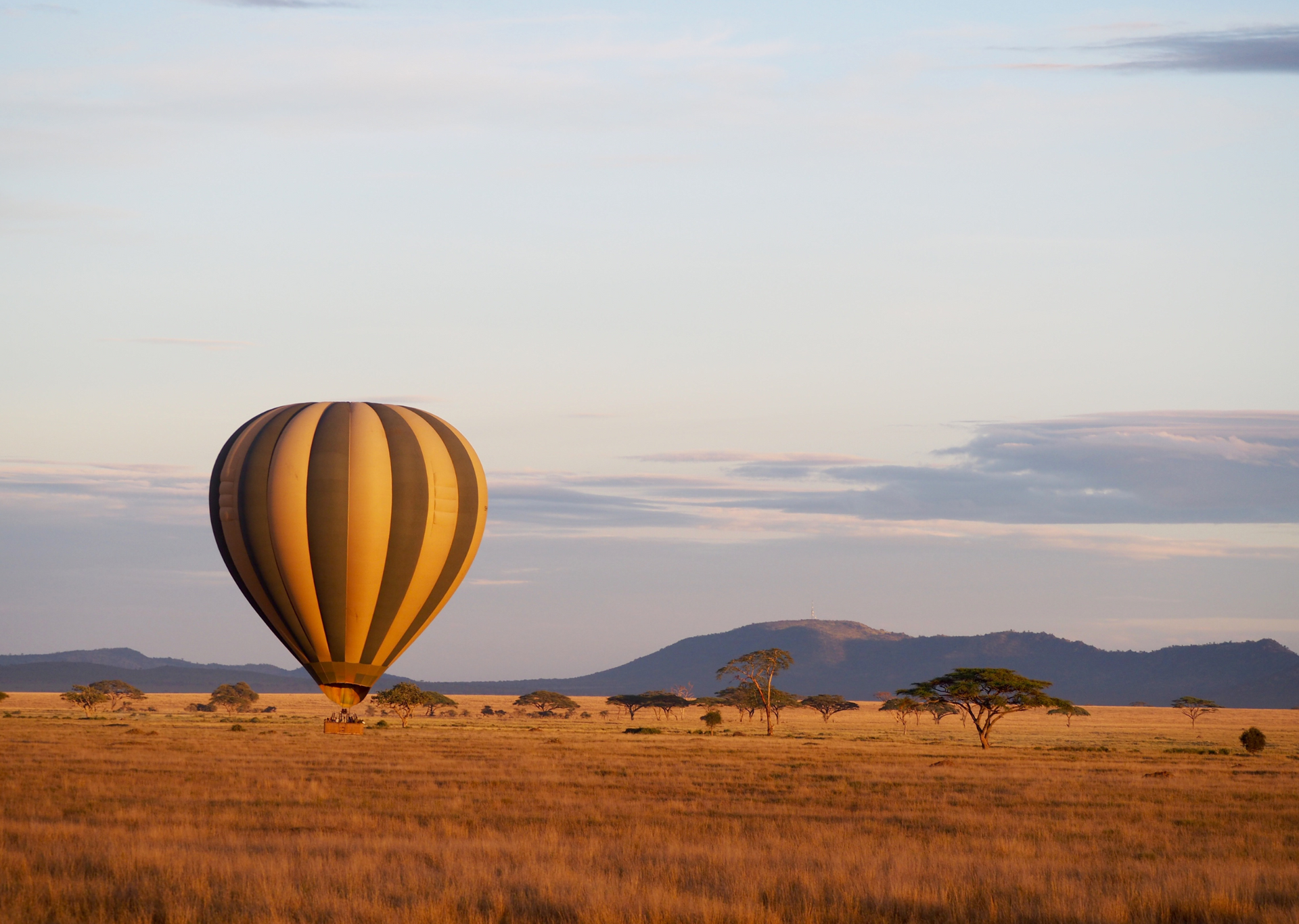 Hot air balloon on a savanna at sunrise. Tan and green balloon rising over dry grassland, with a mountain in the distance.