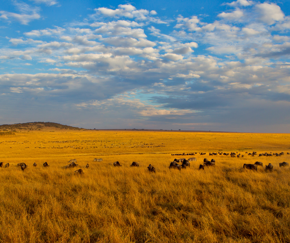 River flowing under a steel bridge; grassy banks, blue sky with clouds.