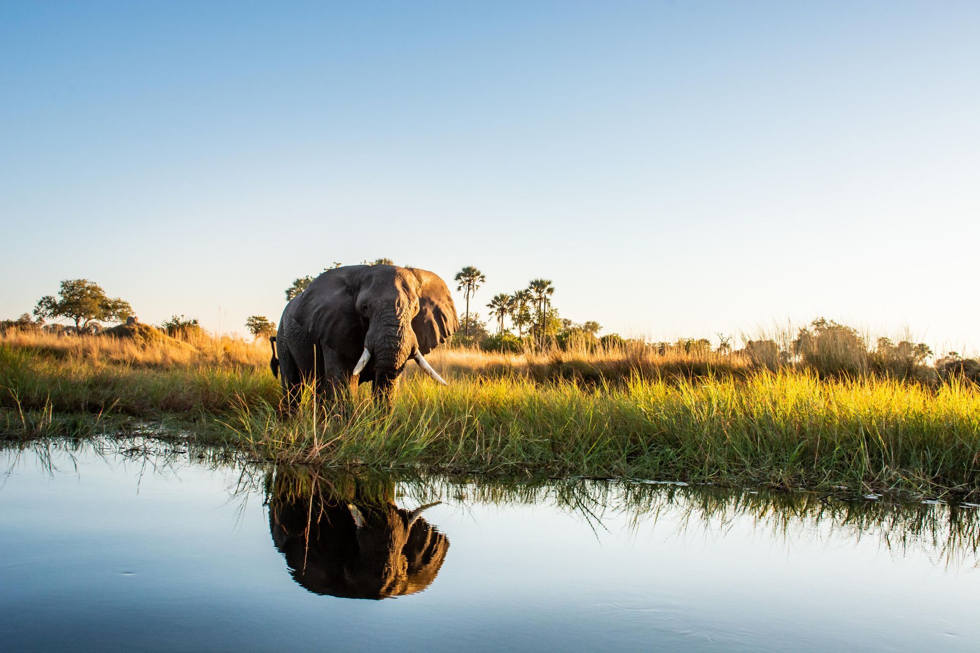 Moremi Crossing Okavango Delta