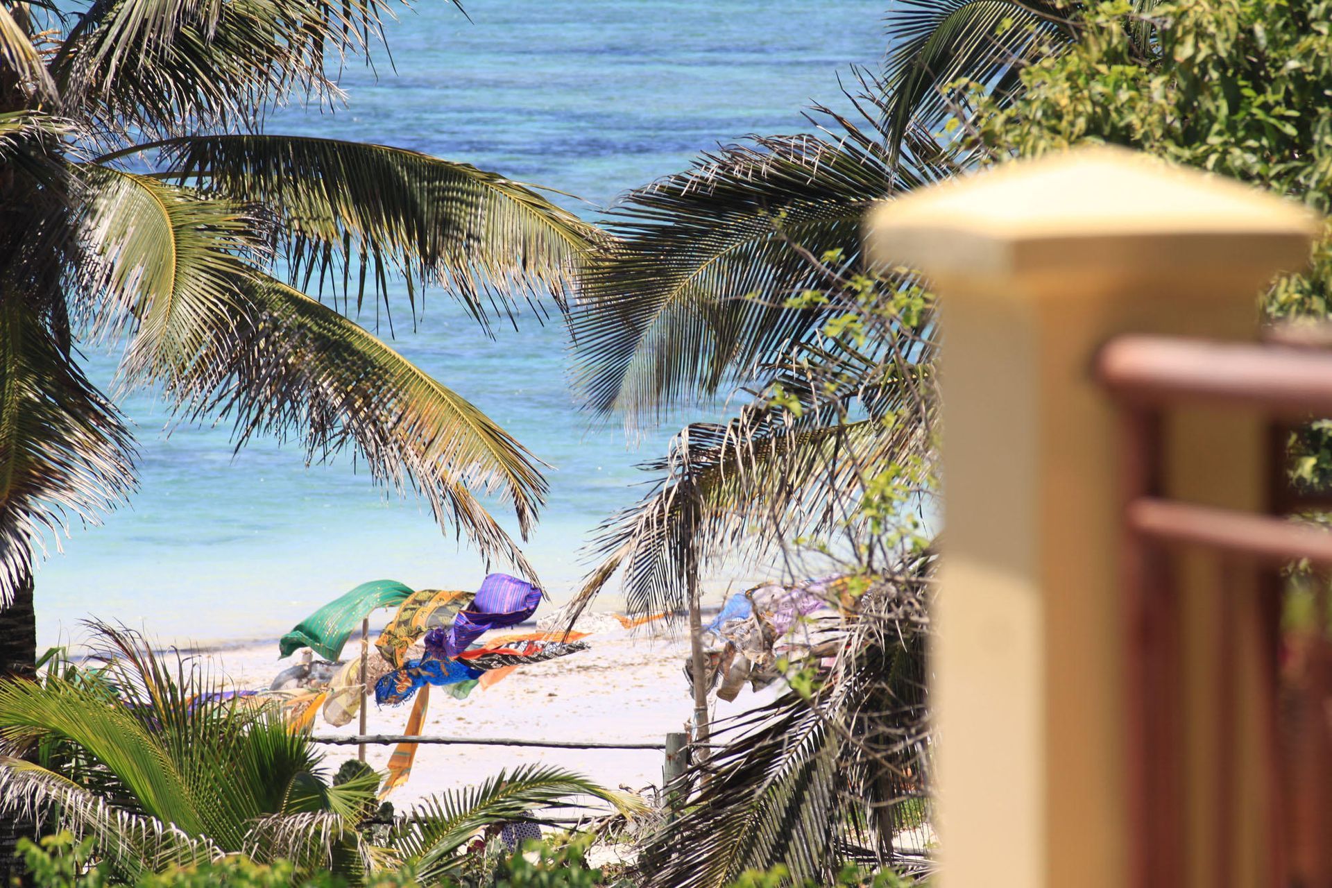 Beach scene with palm trees, umbrellas, and blue ocean.