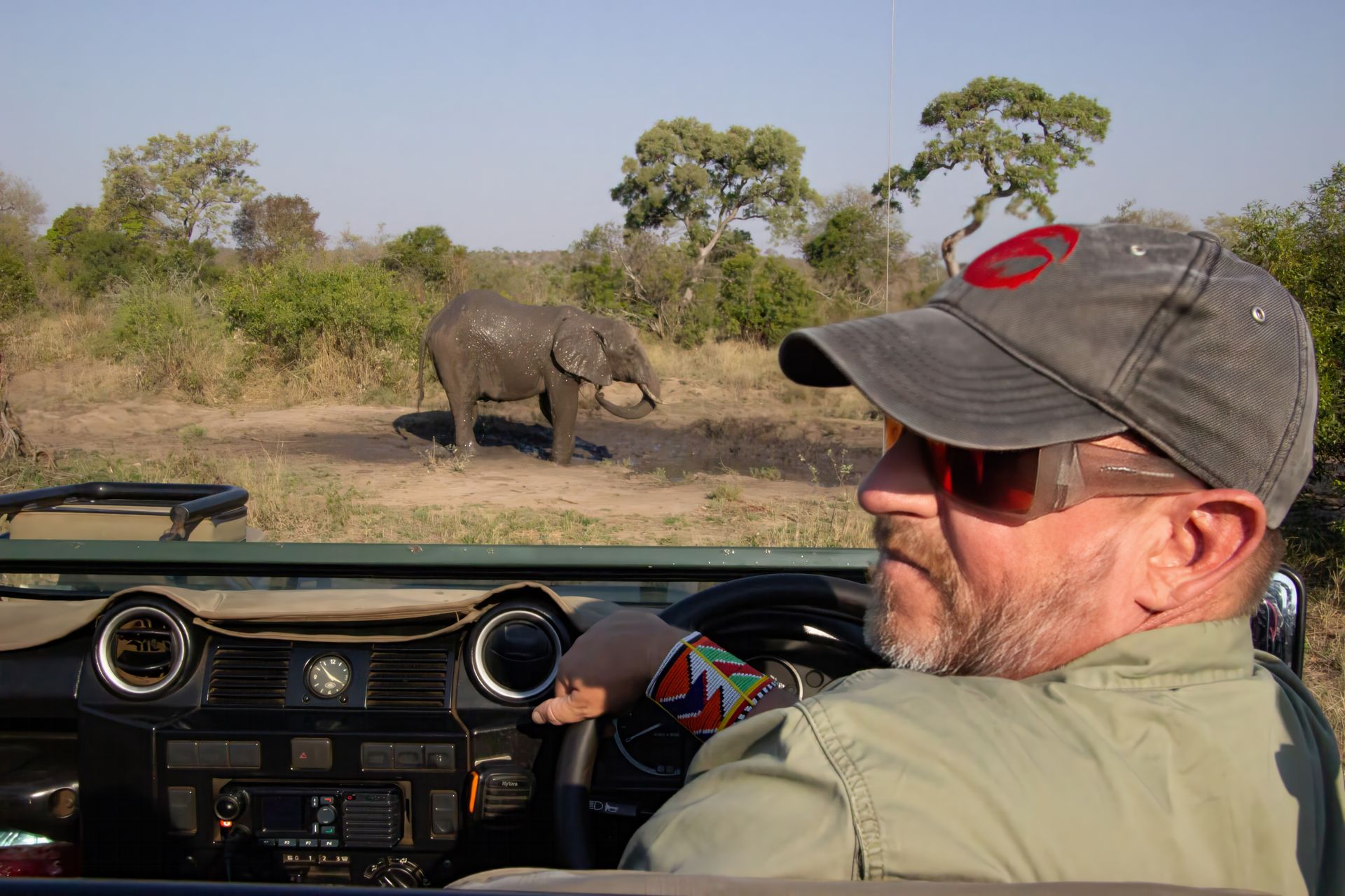 Martin Meyer driving a game viewer, watching elephant in African savanna.