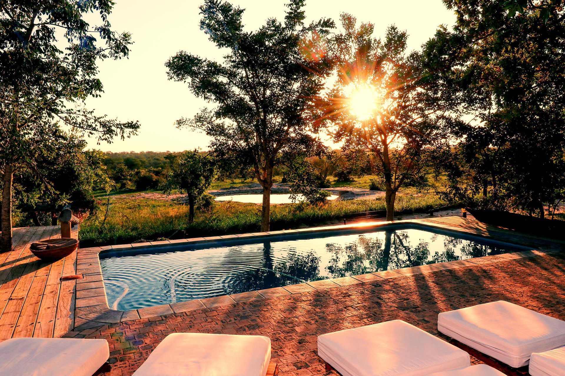 Swimming pool at sunset with lounge chairs, trees, and a river in the distance.