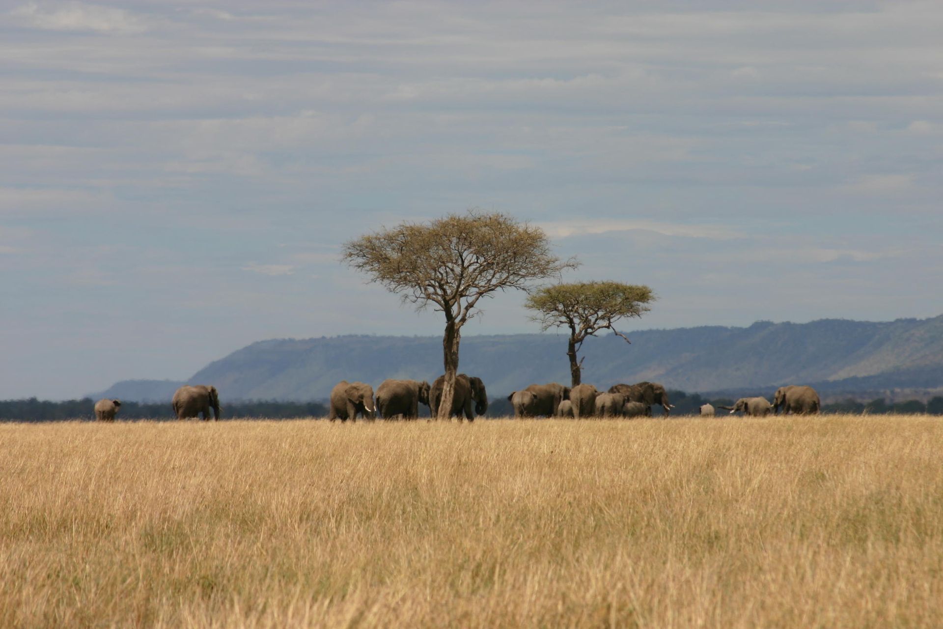 Saruni Mara Kenya