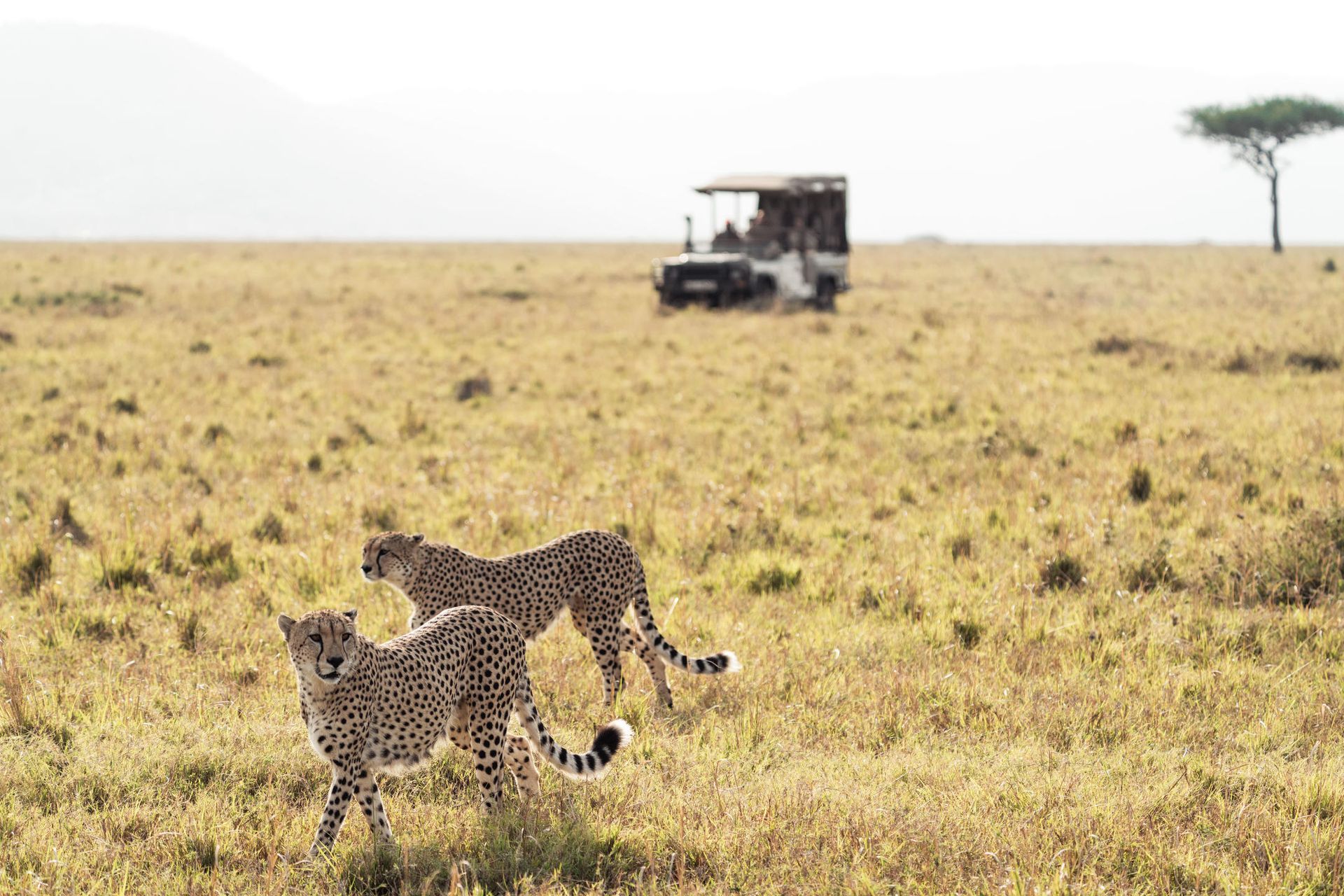 Saruni Mara Kenya