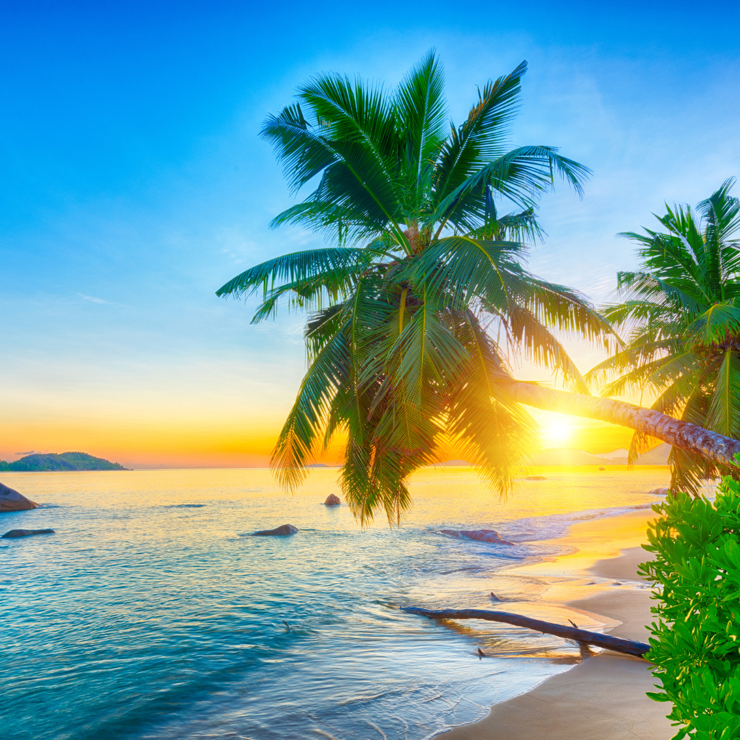 The sun is setting over a tropical beach with palm trees.