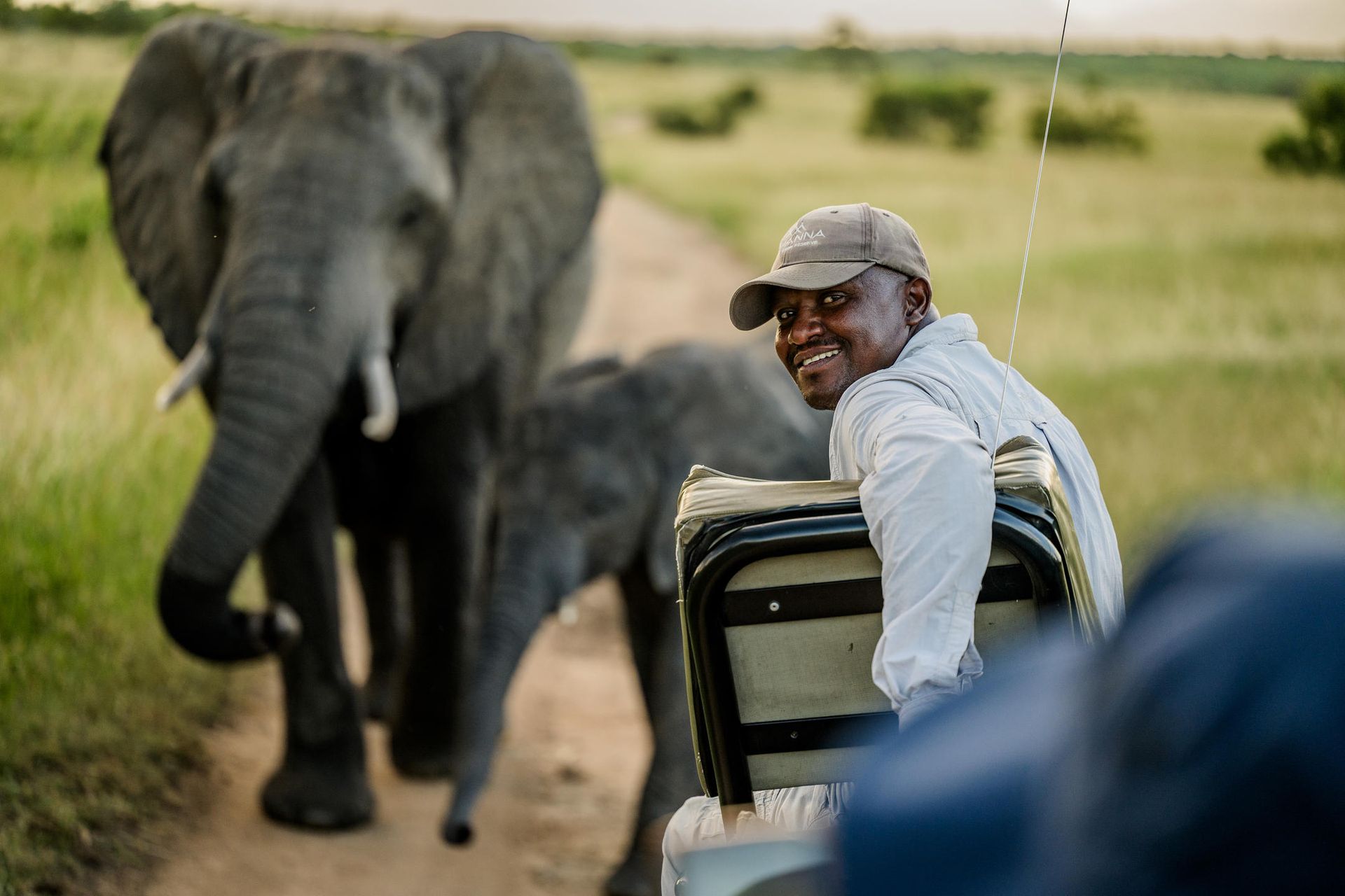 Smiling safari guide in vehicle watches elephants on dirt road in African savanna.