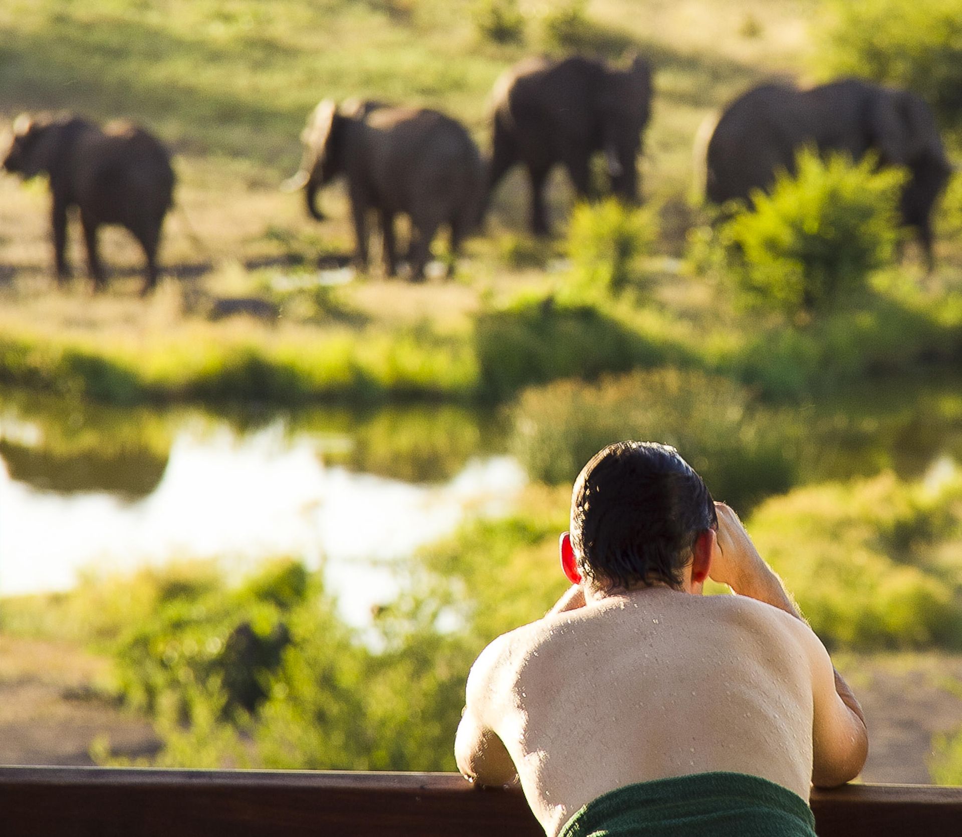 Man in a towel looks out over a watering hole at a group of elephants. Setting is outdoors, during the day.