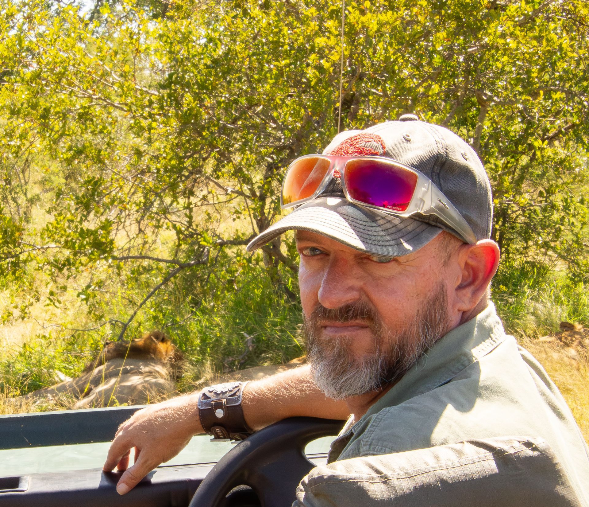 Man in safari hat, sunglasses on head, looking back at the camera while driving. Lion under trees in background.