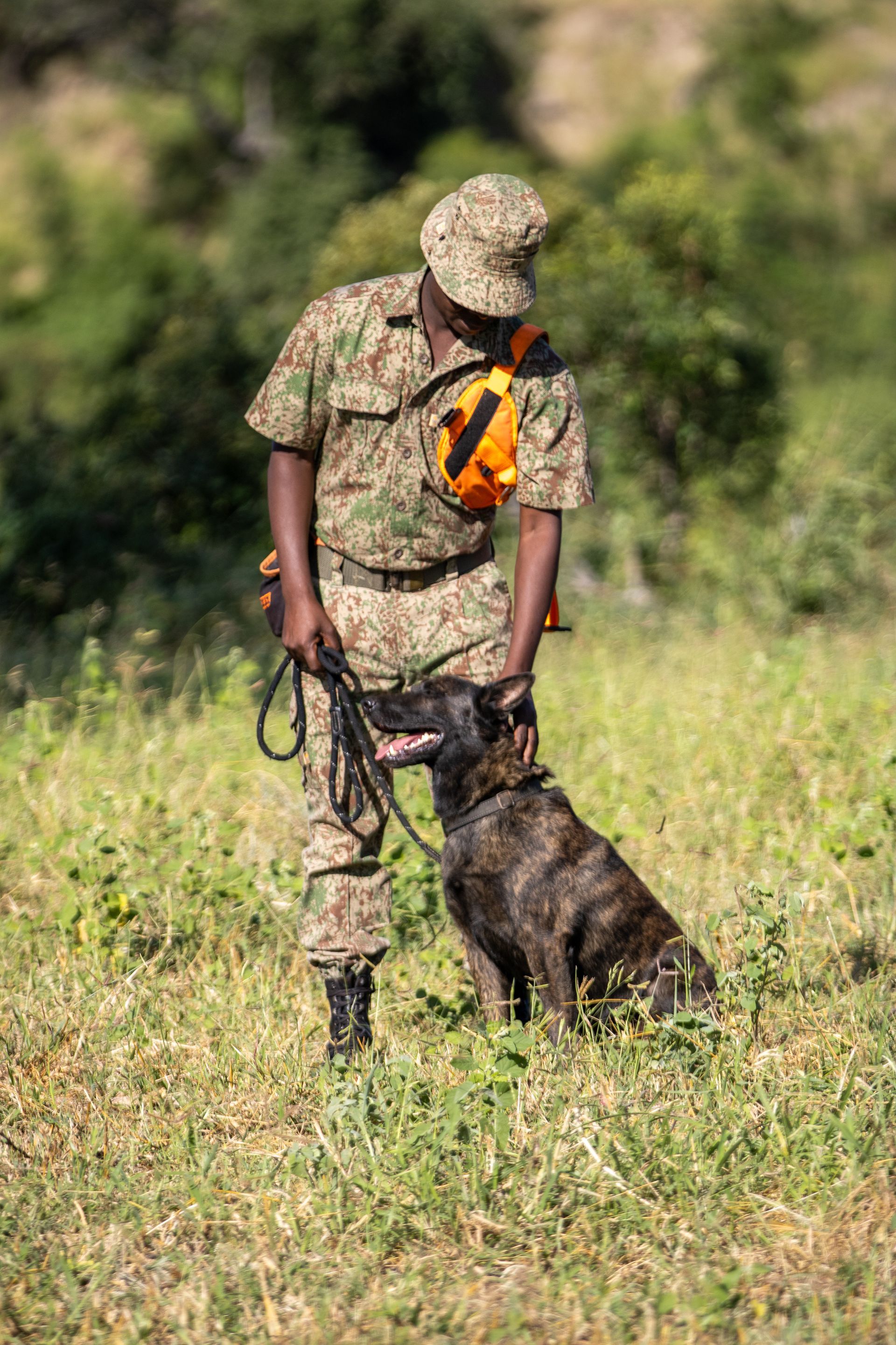 A man in camouflage with a dog on a leash, in a grassy field. The dog is brindle and sitting, looking up.