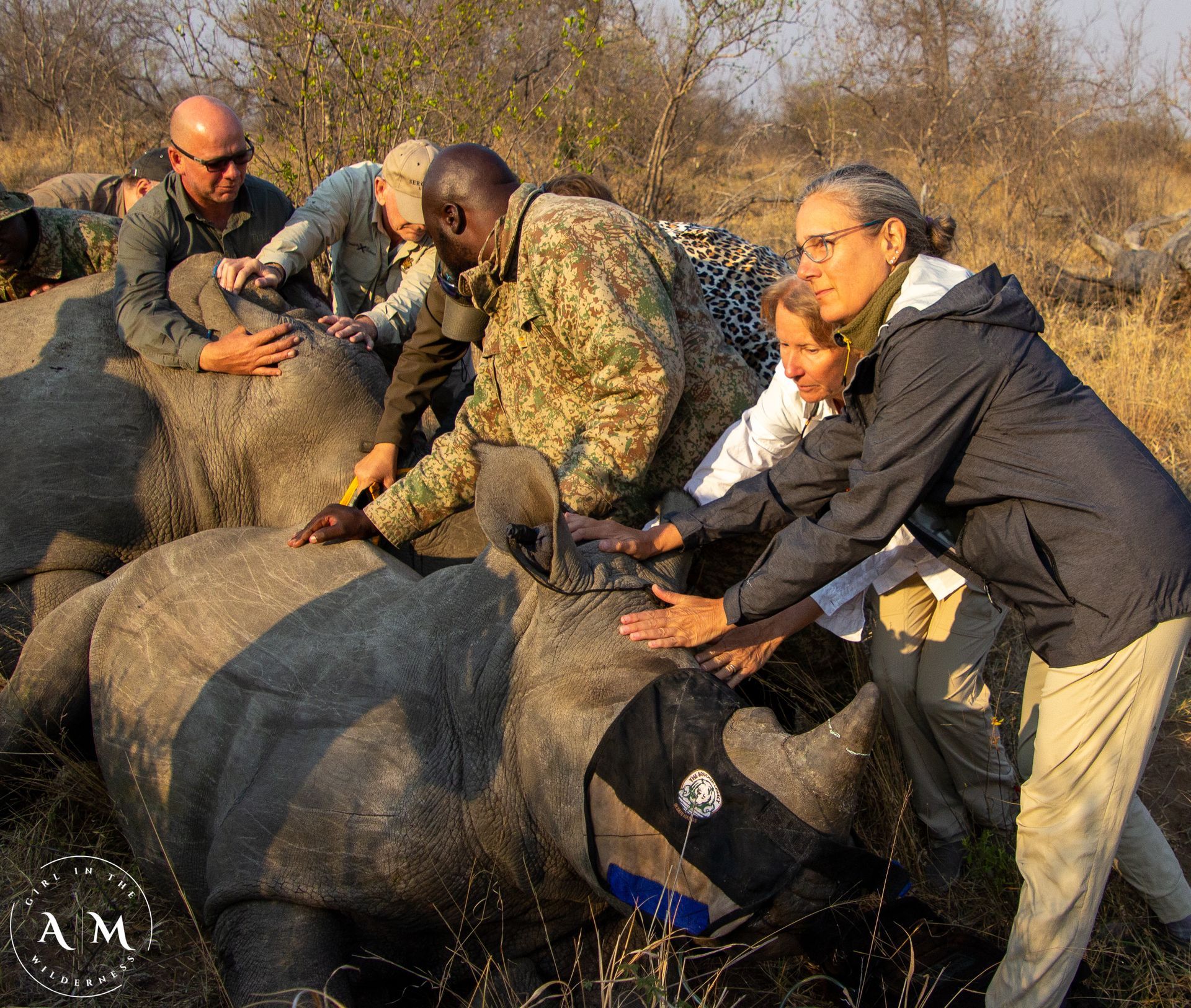 Our Top 12 Bucket List Safari Experiences in 2024