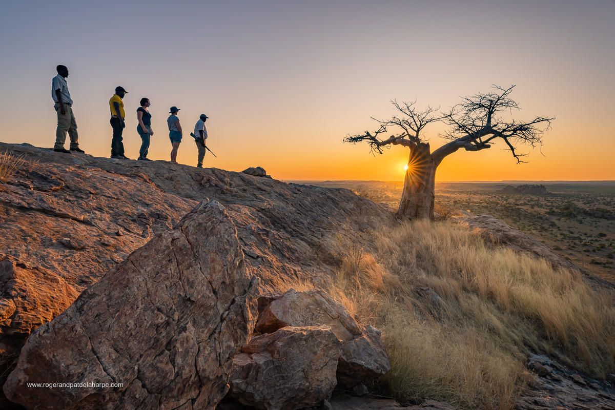 Mashatu Lodge